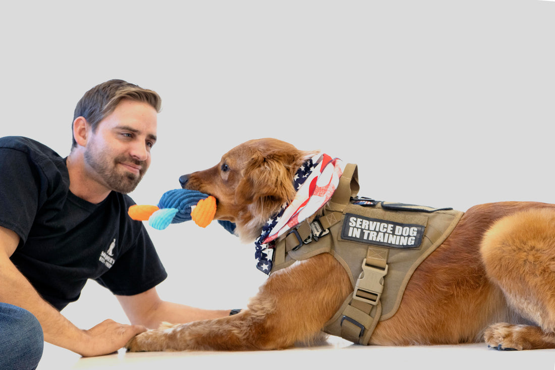 love dog republic subscription box