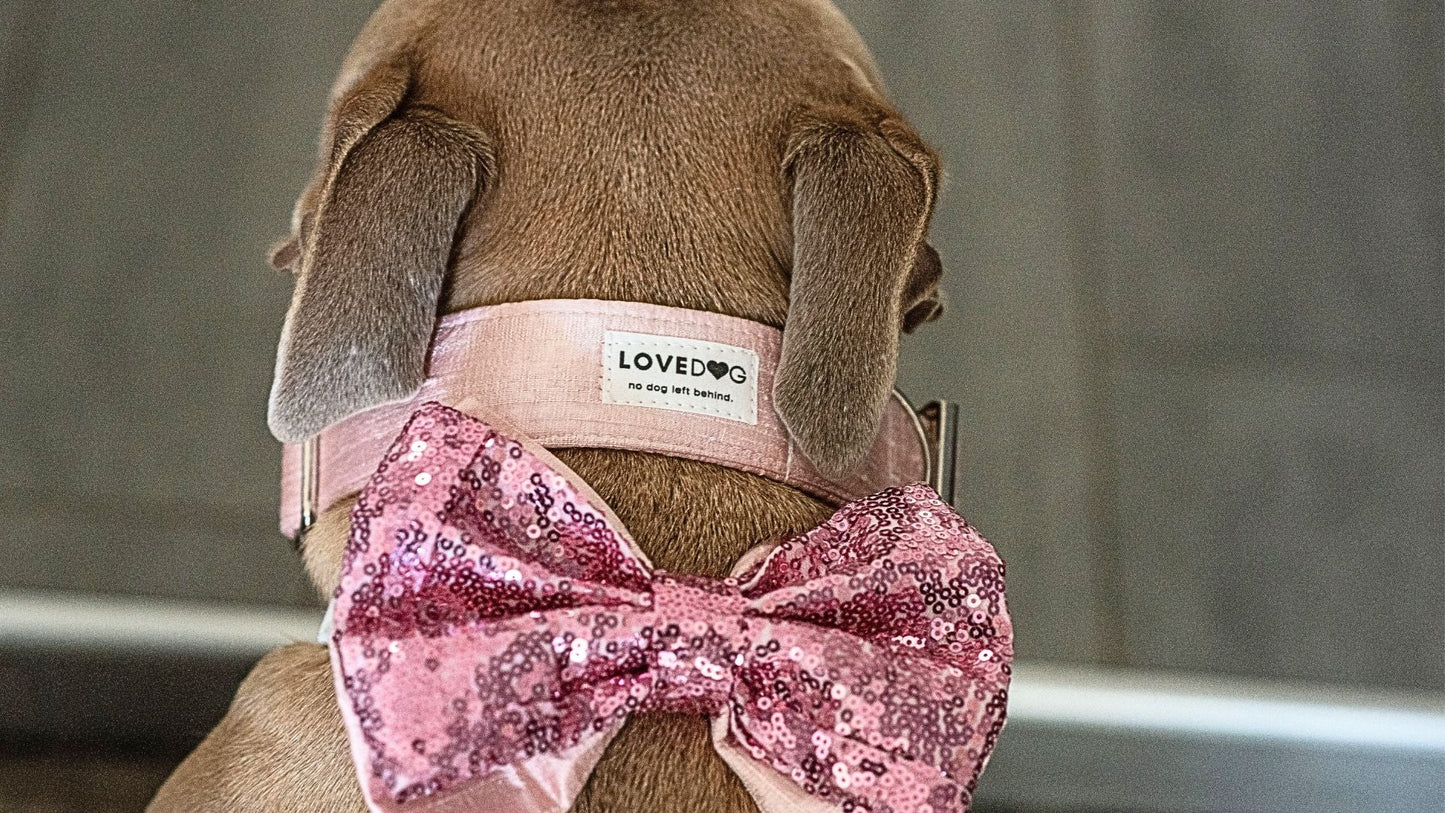pink sequins dog bowtie