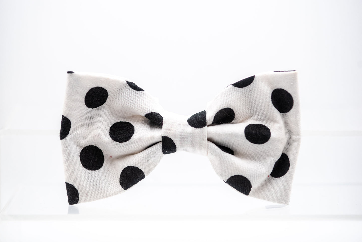 Large polka dots bowtie