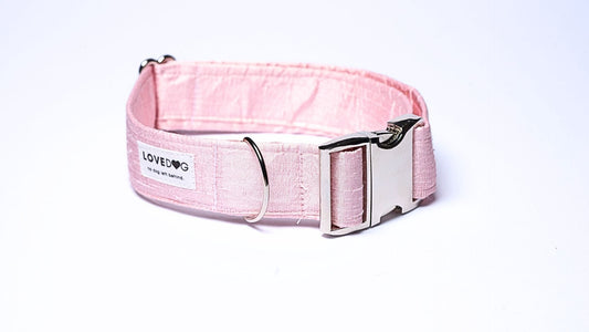 Luxury wedding, luxury dog collars, wedding dog collars, everyday dog collars,
luxury dog accessories