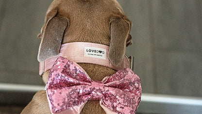pink sequins dog bowtie