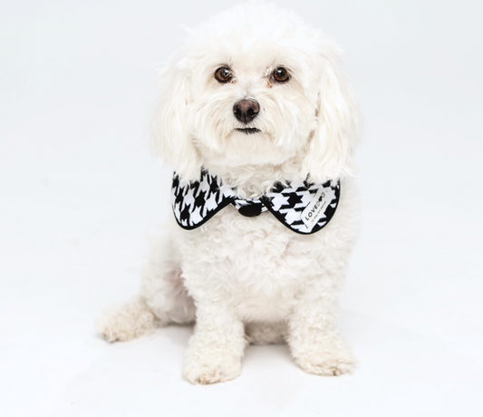 Peplum Collar in Vintage Houndstooth - lovedog 