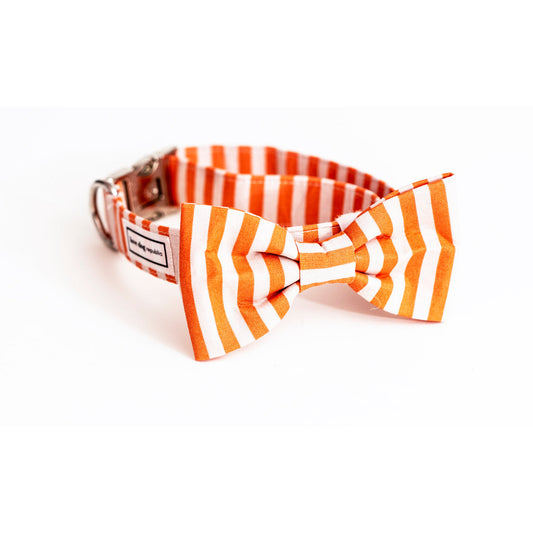 Tangerine & Blush Stripes Set - love dog republic
