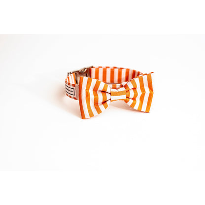 Tangerine & Blush Stripes Set - love dog republic